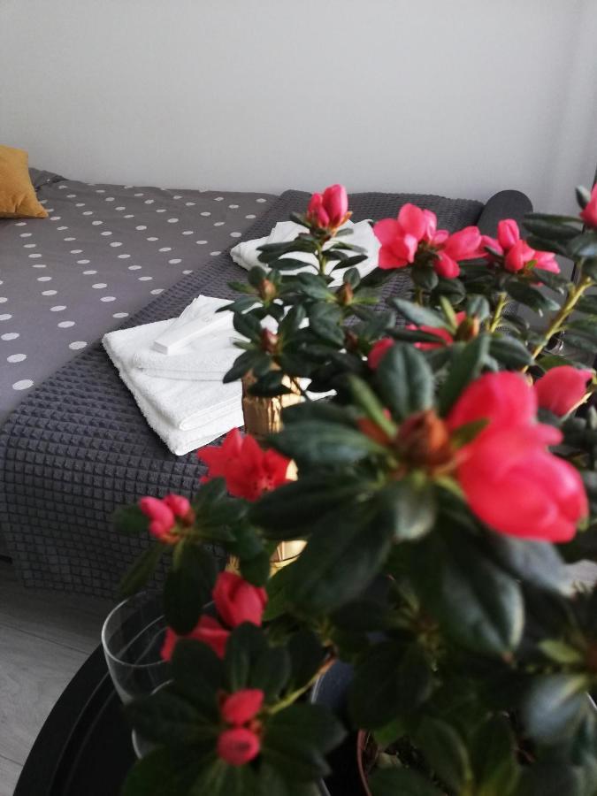 Marlen'S Apartment 布加勒斯特 外观 照片